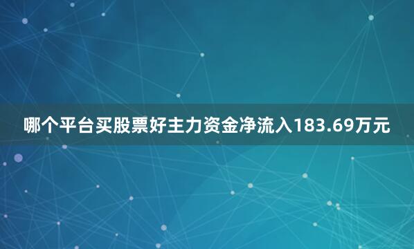 哪个平台买股票好主力资金净流入183.69万元
