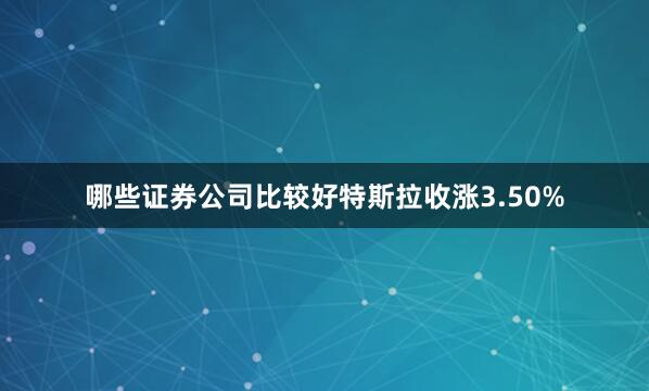 哪些证券公司比较好特斯拉收涨3.50%