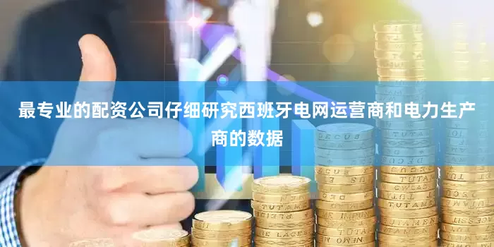 最专业的配资公司仔细研究西班牙电网运营商和电力生产商的数据