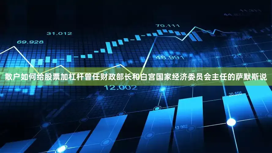 散户如何给股票加杠杆曾任财政部长和白宫国家经济委员会主任的萨默斯说